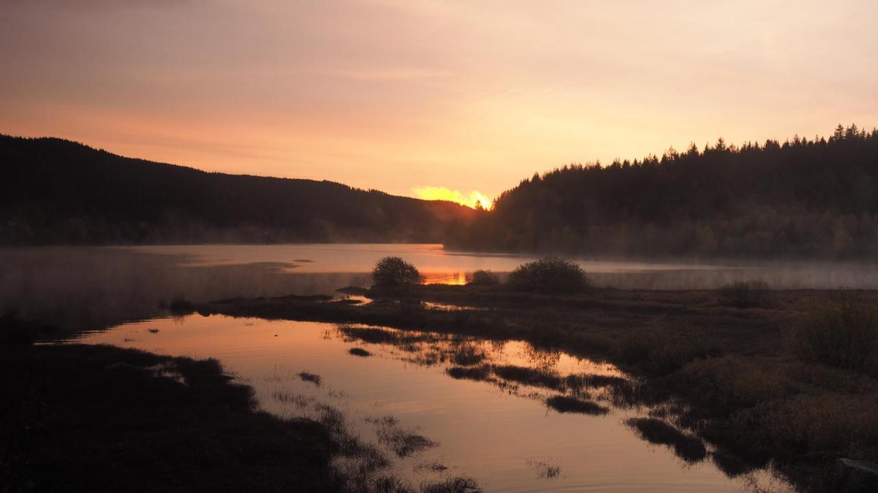 C3 Albmatte-Fewo Sauna, Hallenbad Aussenbecken Massagen Nebenan St. Blasien Eksteriør billede