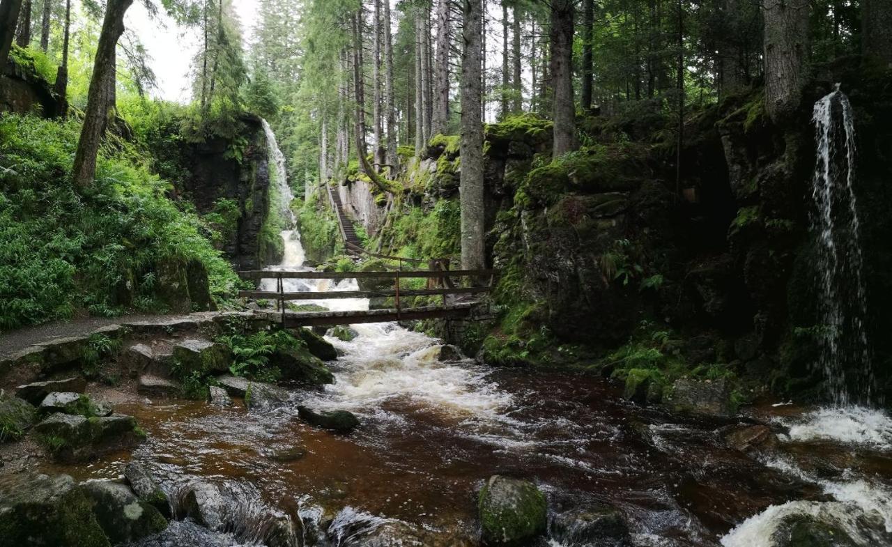 C3 Albmatte-Fewo Sauna, Hallenbad Aussenbecken Massagen Nebenan St. Blasien Eksteriør billede
