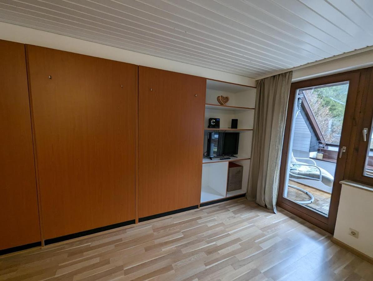 C3 Albmatte-Fewo Sauna, Hallenbad Aussenbecken Massagen Nebenan St. Blasien Eksteriør billede