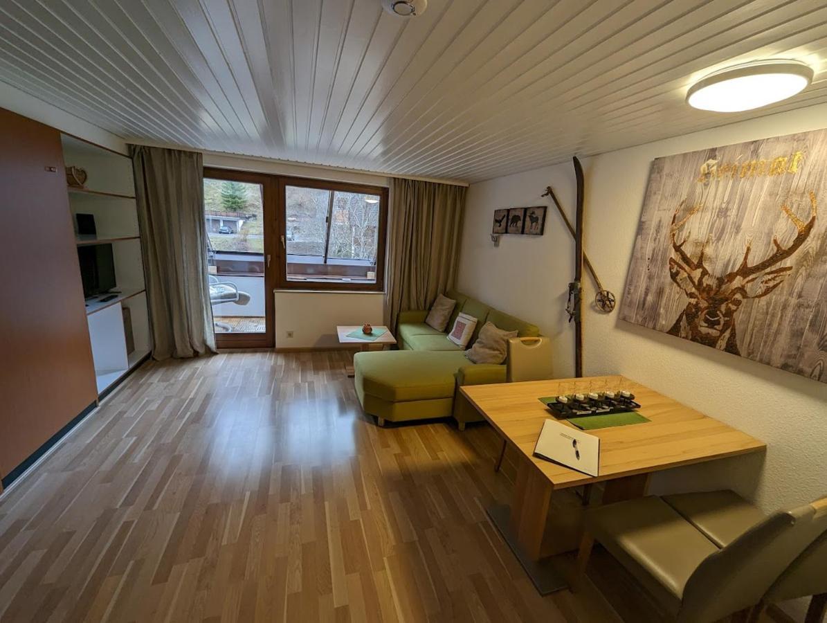 C3 Albmatte-Fewo Sauna, Hallenbad Aussenbecken Massagen Nebenan St. Blasien Eksteriør billede