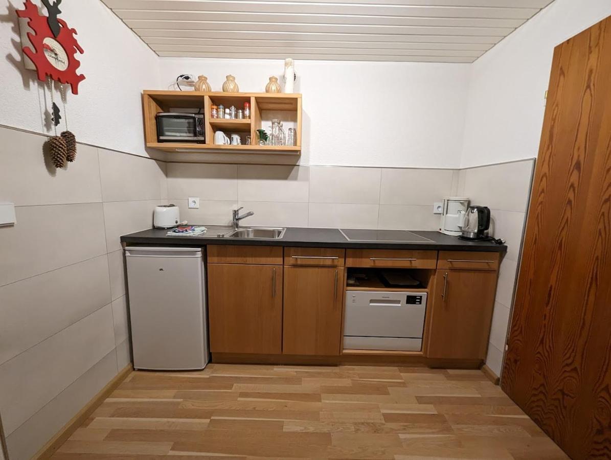 C3 Albmatte-Fewo Sauna, Hallenbad Aussenbecken Massagen Nebenan St. Blasien Eksteriør billede