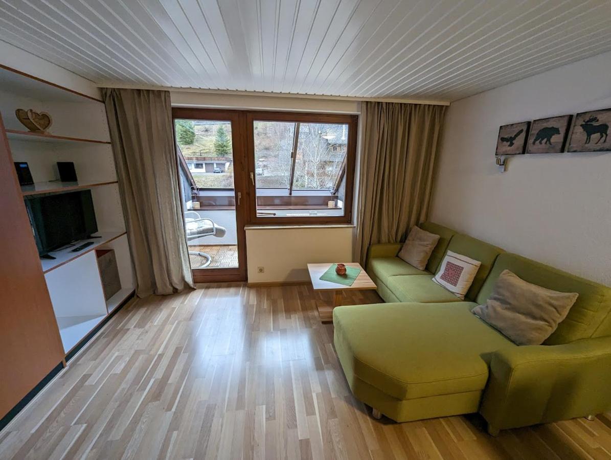 C3 Albmatte-Fewo Sauna, Hallenbad Aussenbecken Massagen Nebenan St. Blasien Eksteriør billede