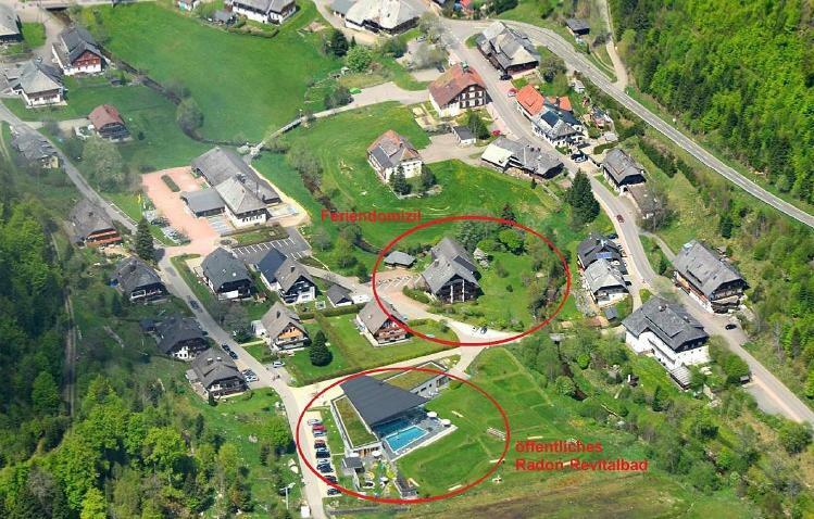 C3 Albmatte-Fewo Sauna, Hallenbad Aussenbecken Massagen Nebenan St. Blasien Eksteriør billede