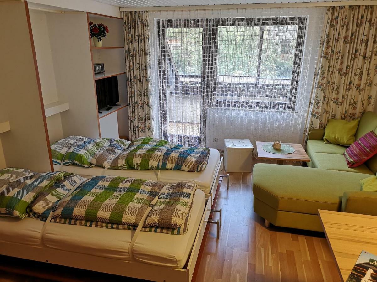C3 Albmatte-Fewo Sauna, Hallenbad Aussenbecken Massagen Nebenan St. Blasien Eksteriør billede
