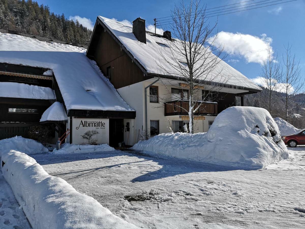 C3 Albmatte-Fewo Sauna, Hallenbad Aussenbecken Massagen Nebenan St. Blasien Eksteriør billede