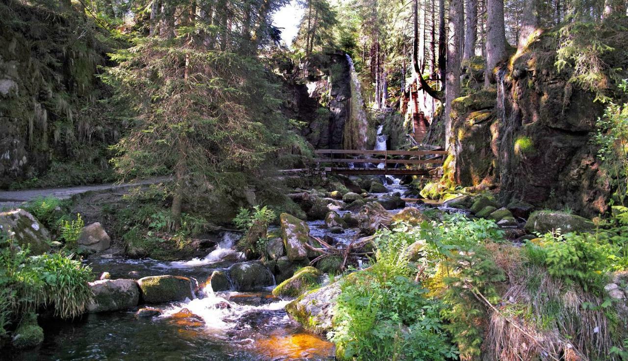C3 Albmatte-Fewo Sauna, Hallenbad Aussenbecken Massagen Nebenan St. Blasien Eksteriør billede