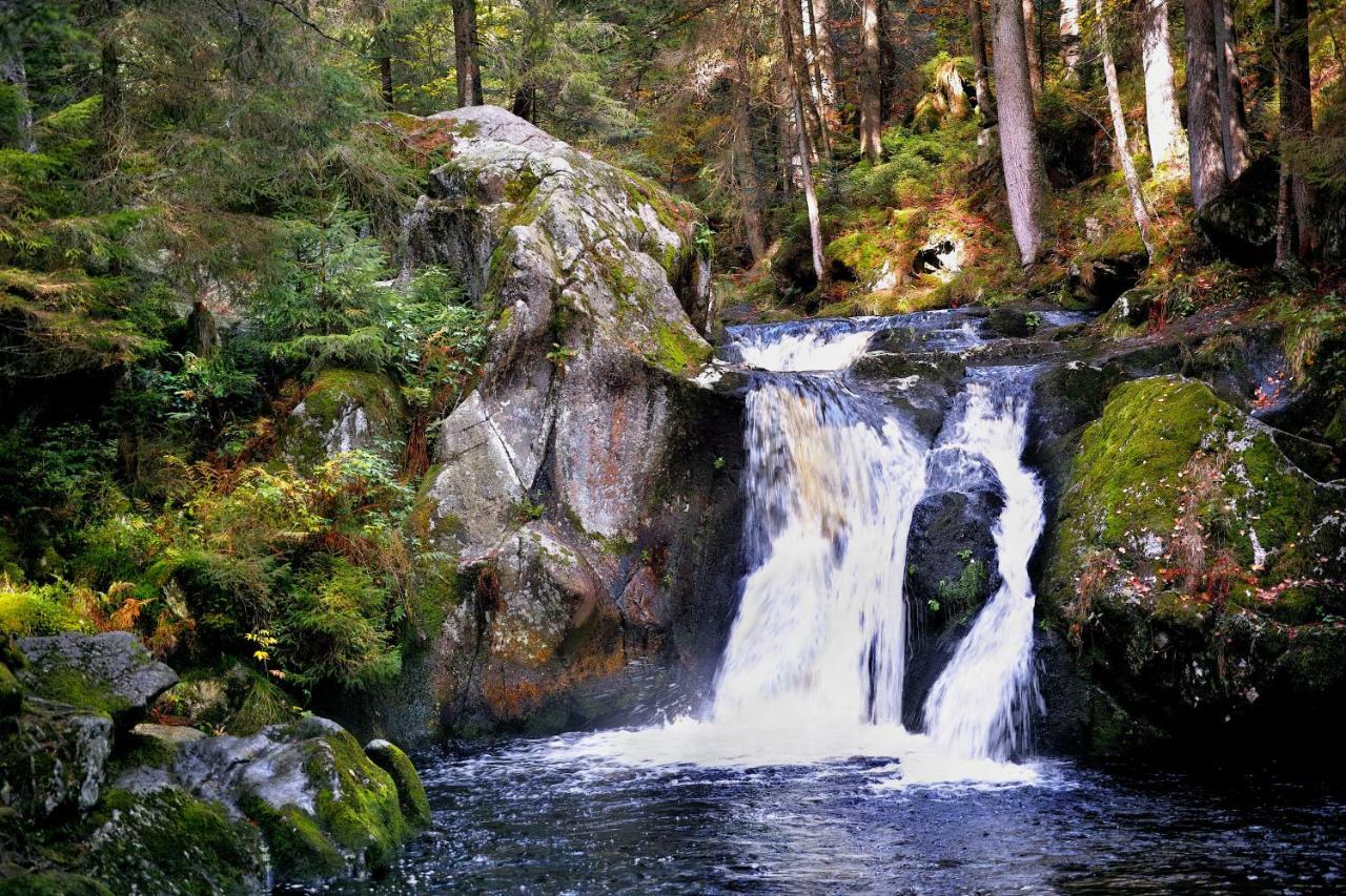 C3 Albmatte-Fewo Sauna, Hallenbad Aussenbecken Massagen Nebenan St. Blasien Eksteriør billede