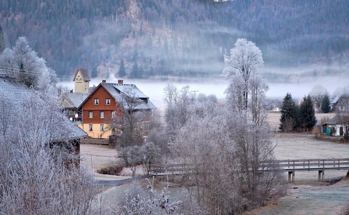 C3 Albmatte-Fewo Sauna, Hallenbad Aussenbecken Massagen Nebenan St. Blasien Eksteriør billede