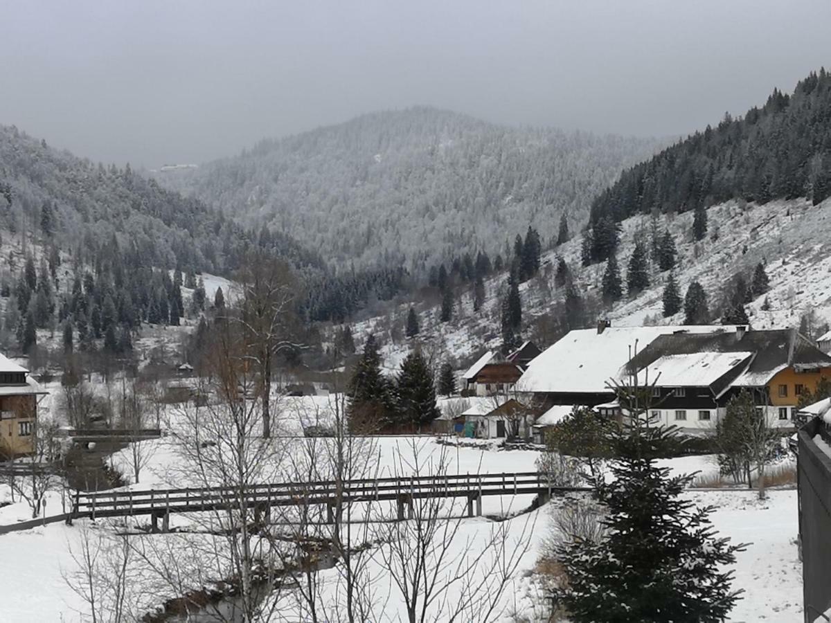 C3 Albmatte-Fewo Sauna, Hallenbad Aussenbecken Massagen Nebenan St. Blasien Eksteriør billede