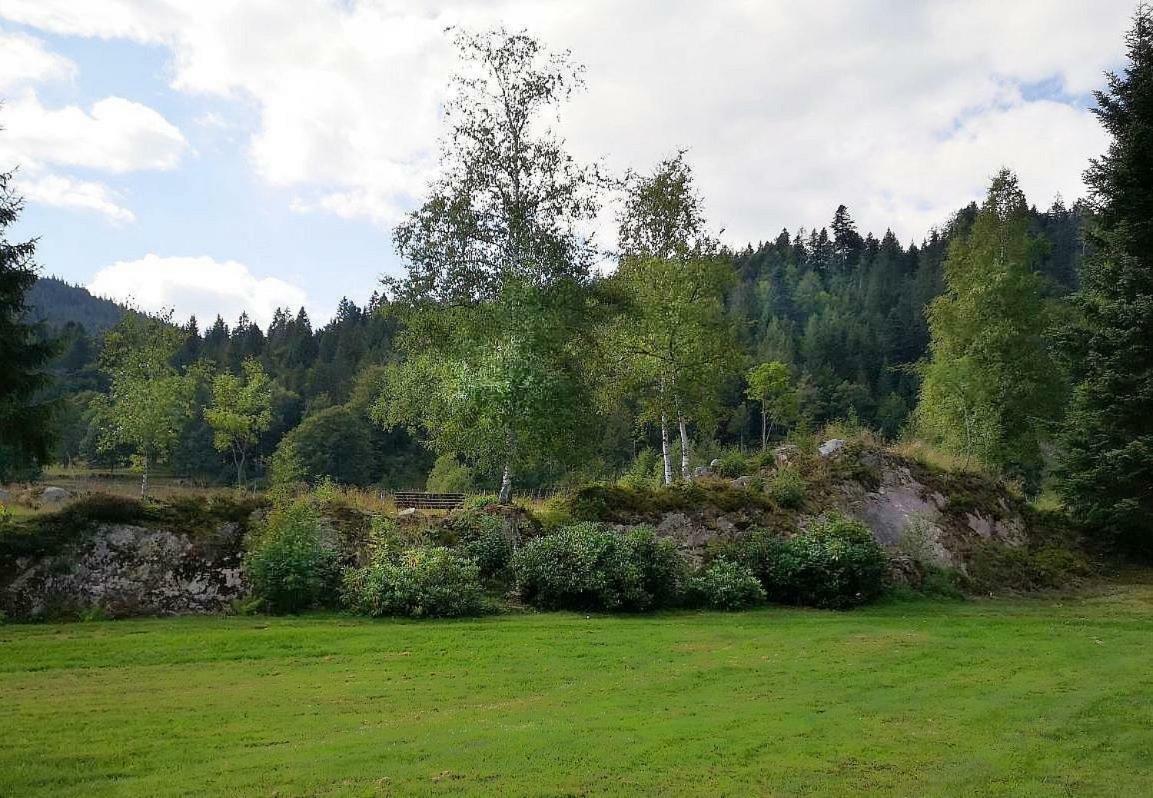 C3 Albmatte-Fewo Sauna, Hallenbad Aussenbecken Massagen Nebenan St. Blasien Eksteriør billede