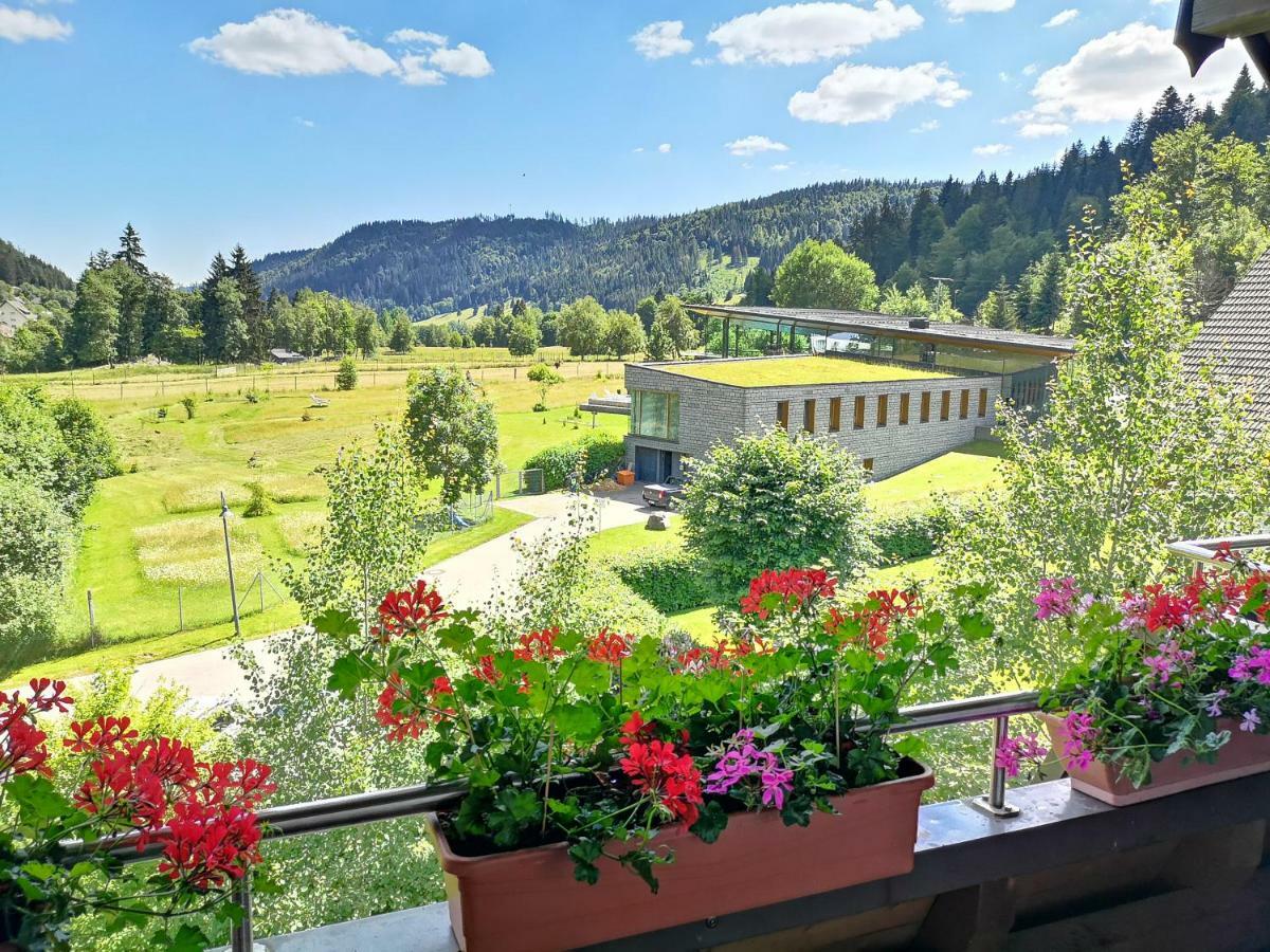 C3 Albmatte-Fewo Sauna, Hallenbad Aussenbecken Massagen Nebenan St. Blasien Eksteriør billede