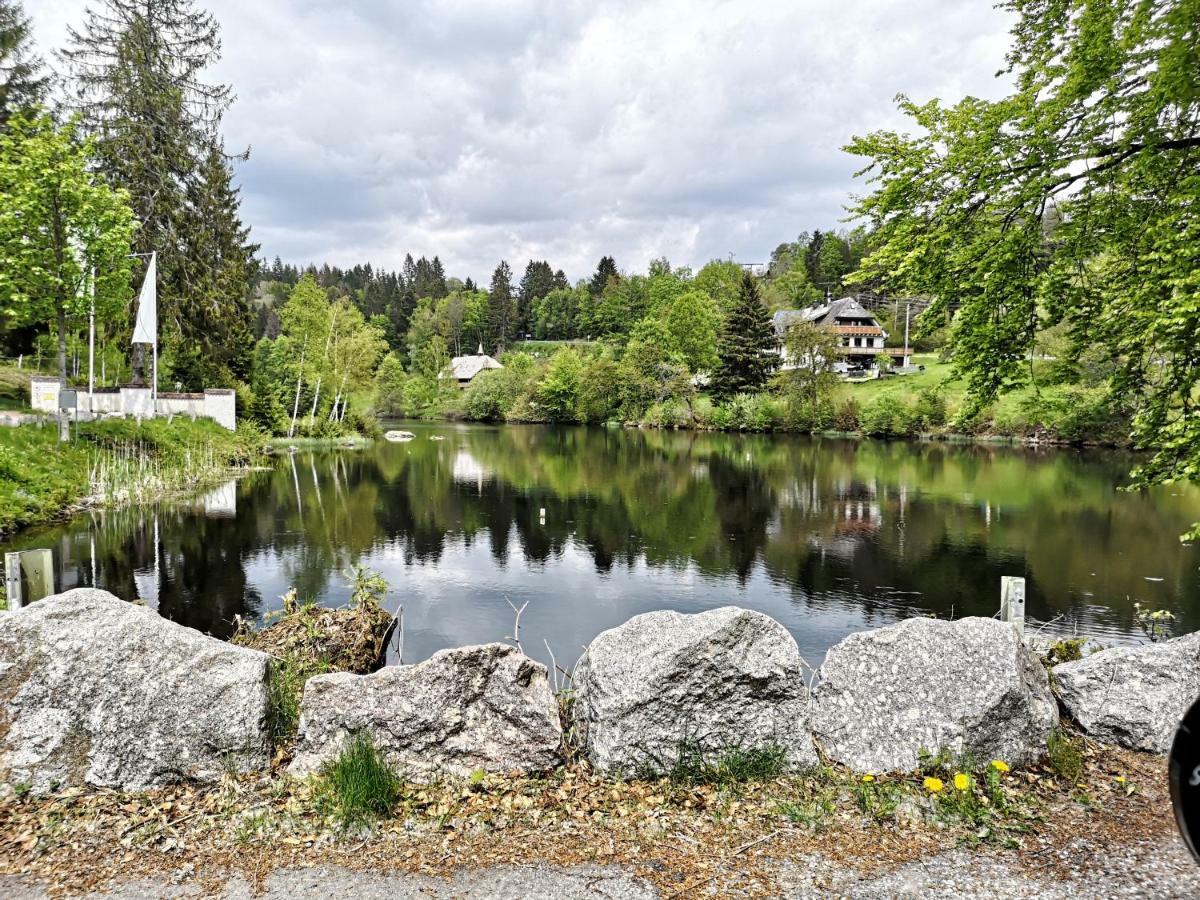 C3 Albmatte-Fewo Sauna, Hallenbad Aussenbecken Massagen Nebenan St. Blasien Eksteriør billede